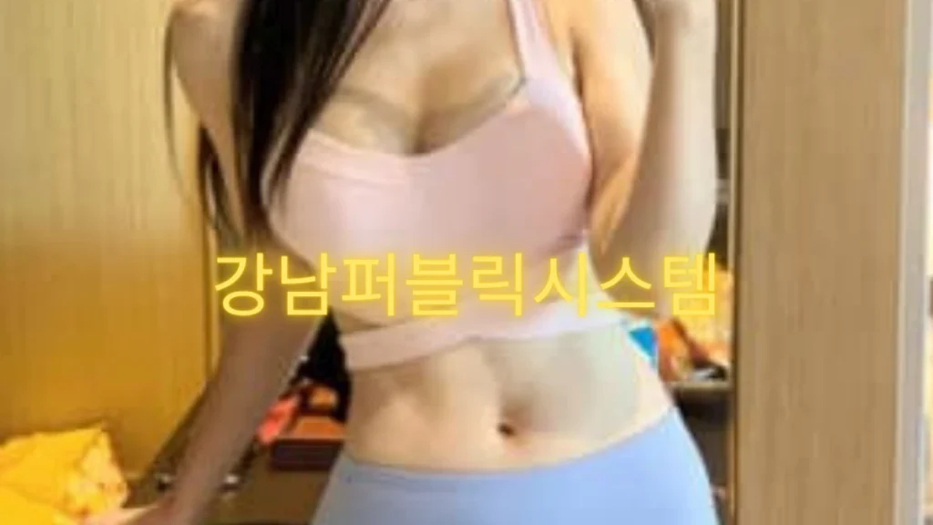 강남퍼블릭시스템